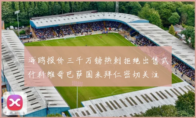 海鸥报价三千万镑热刺拒绝出售武什科维奇巴萨国米拜仁密切关注