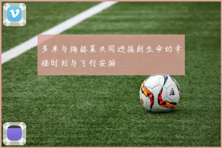 多库与梅赫莱共同迎接新生命的幸福时刻与飞行安排