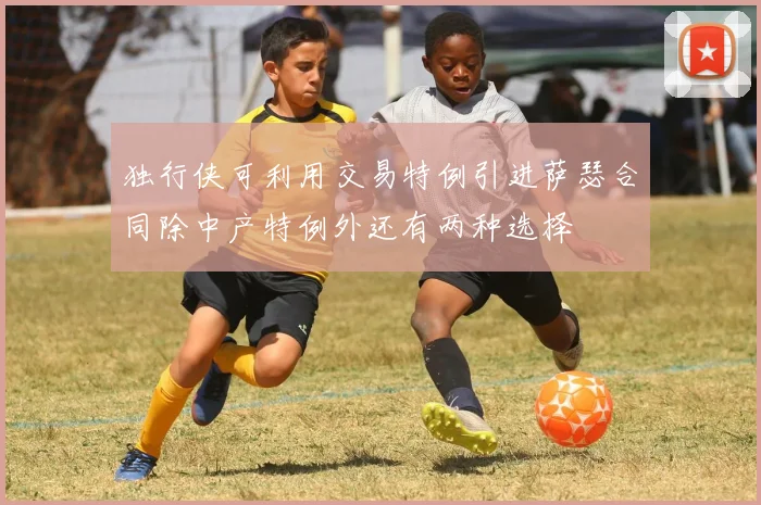 独行侠可利用交易特例引进萨瑟合同除中产特例外还有两种选择